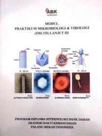 Image of Modul Praktikum Mikrobiologi dan Virologi (IMLTD) Lanjut III